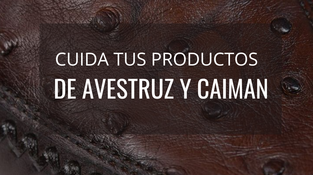 Cuidados para piel genuina exótica: Caimán y Avestruz