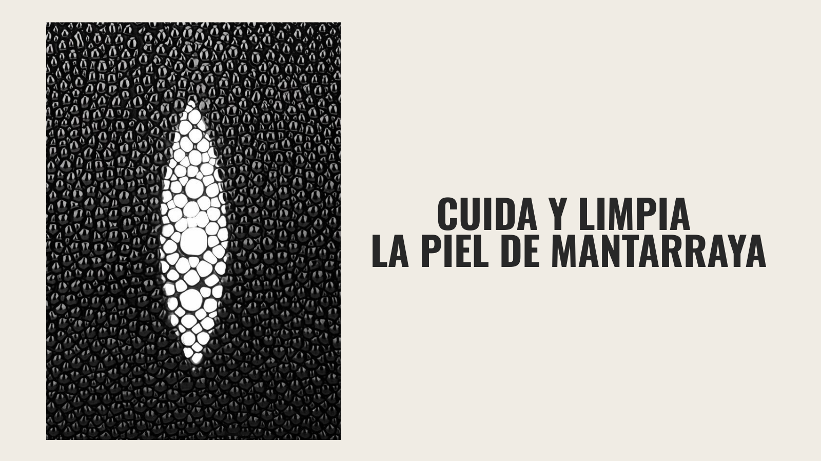 Así se limpia tu piel de mantarraya ✨