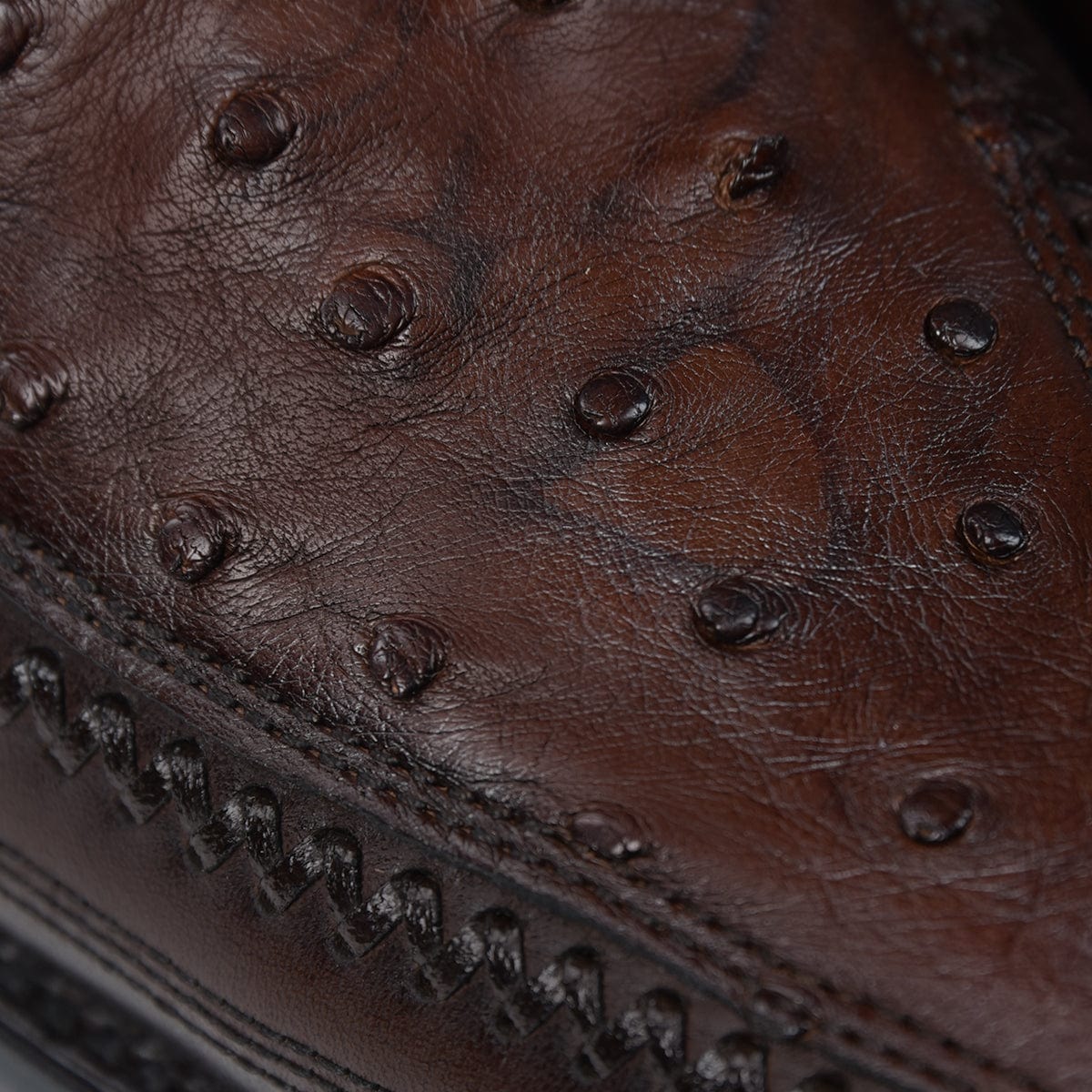 Bota Vaquera Cuadra Senda Dorada Chocolate