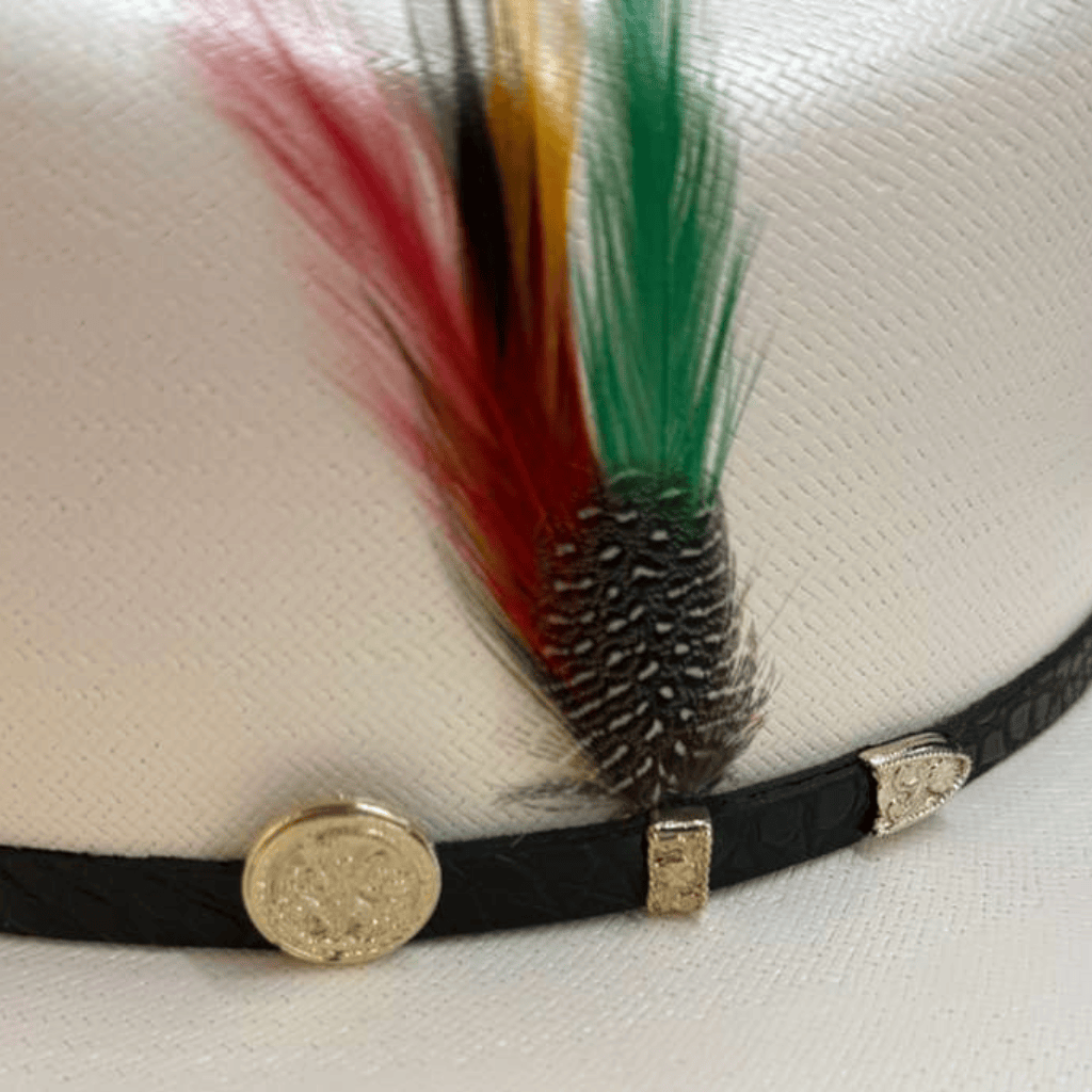 Detalle de la pluma y herraje dorado.