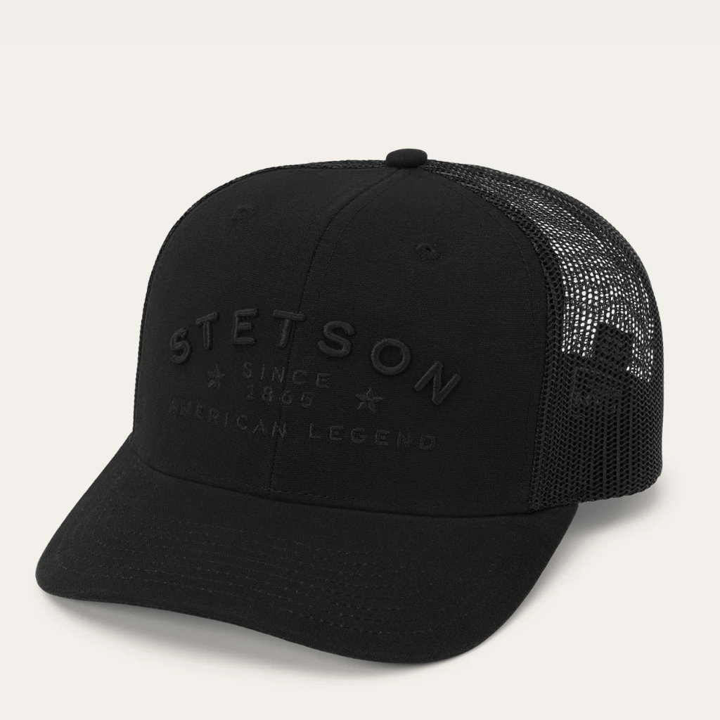Gorra negra con bordado frontal discreto y malla trasera.