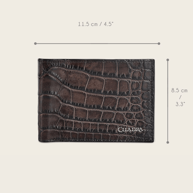 Una representación grafica sobre las dimensiones de la cartera.
