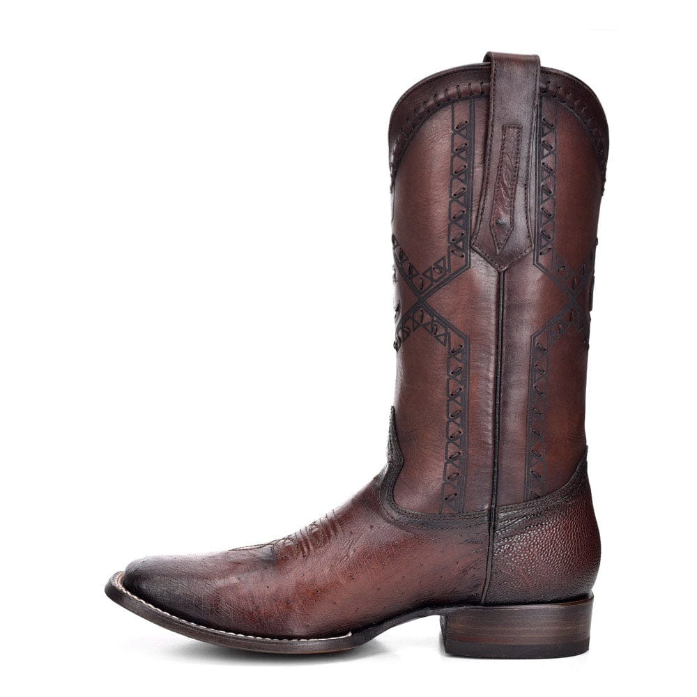 Bota Caudra