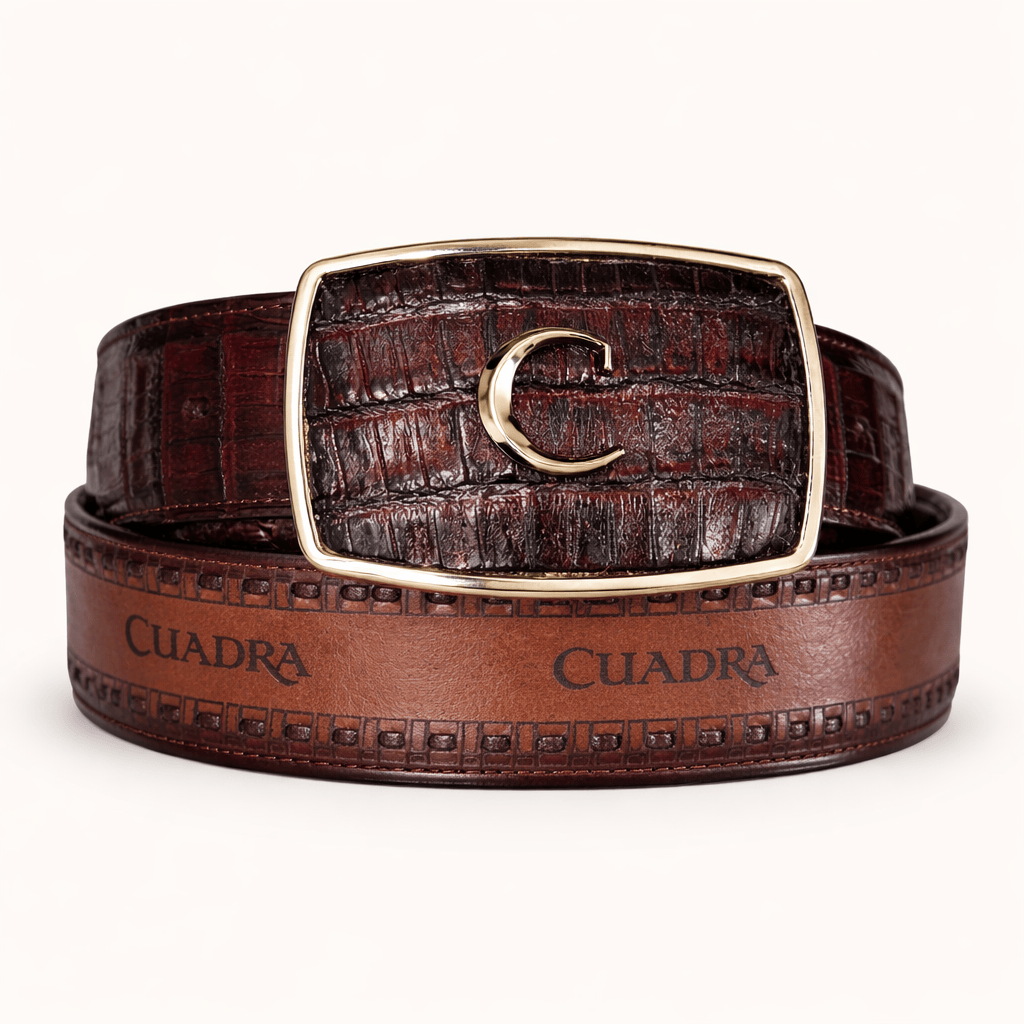 Cinto Cuadra Dinastia Bravia