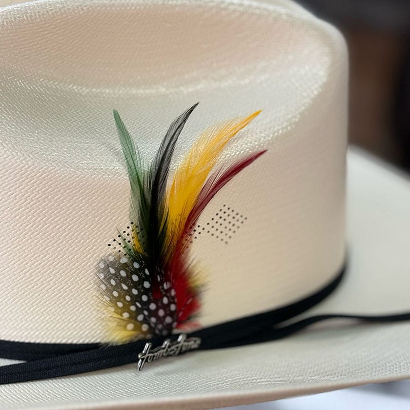 Sombrero Chaparral 100x