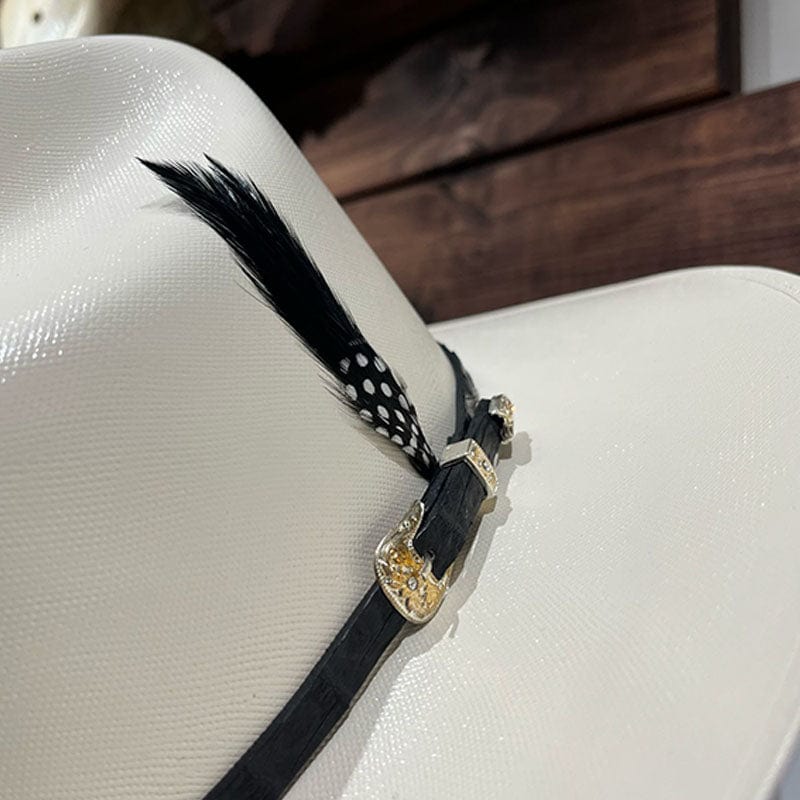 Sombrero Tennesse 10,000x