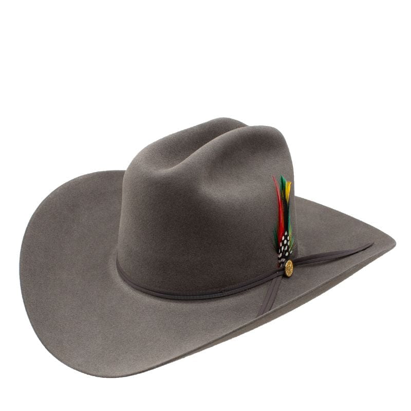 Texana Stetson 6x 160 Aniversario Gris