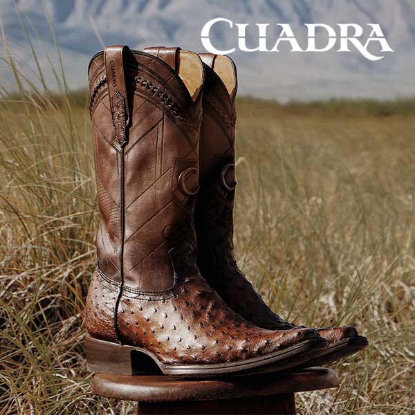 coleccion cuadra para hombre