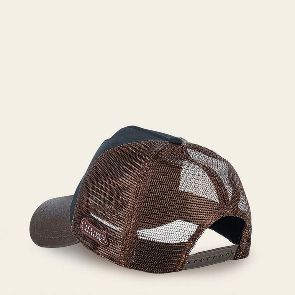 gorra cuadra parche caiman metalico trasero