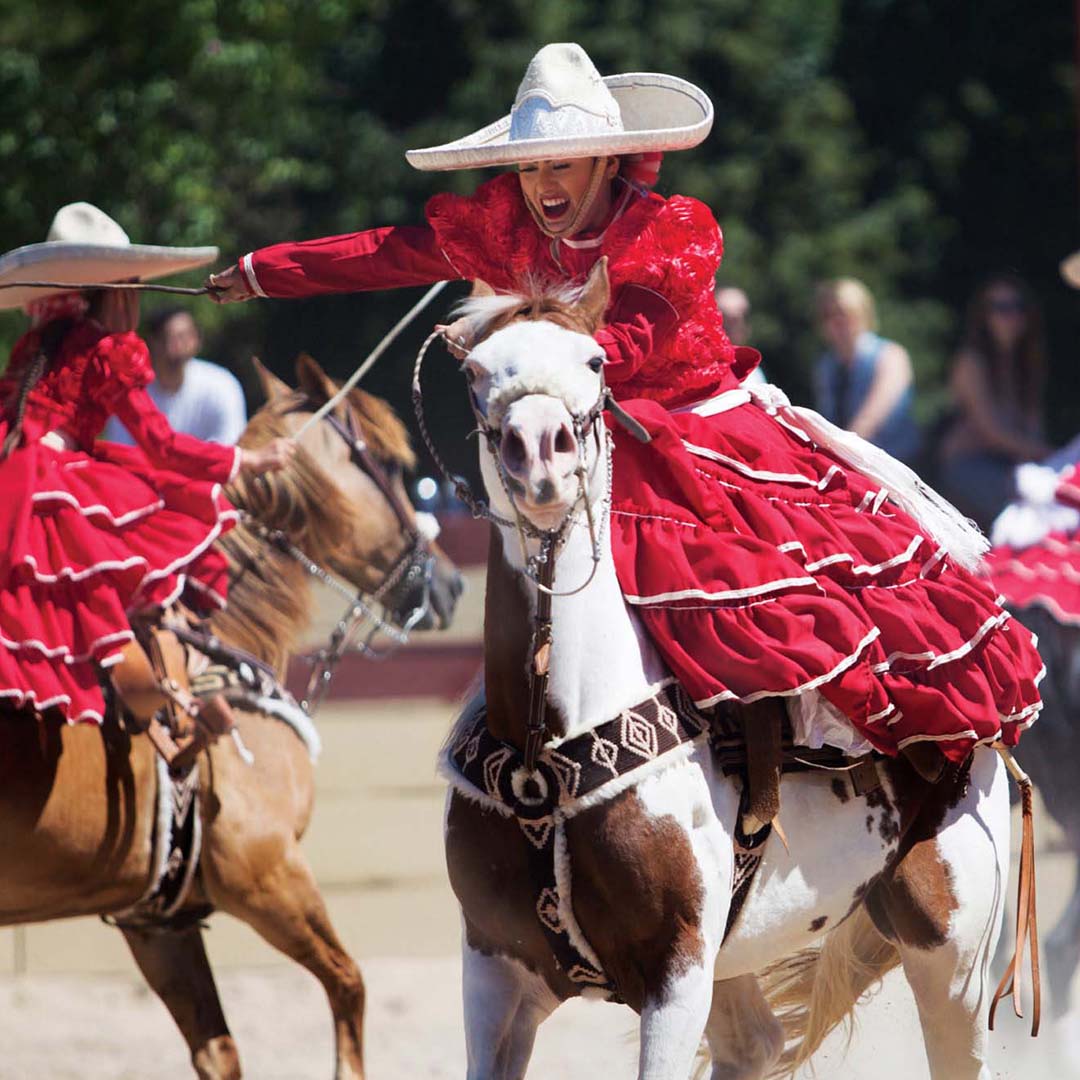 Meet the charro skirmish costume of Mexican Culture Botines Charros LLC