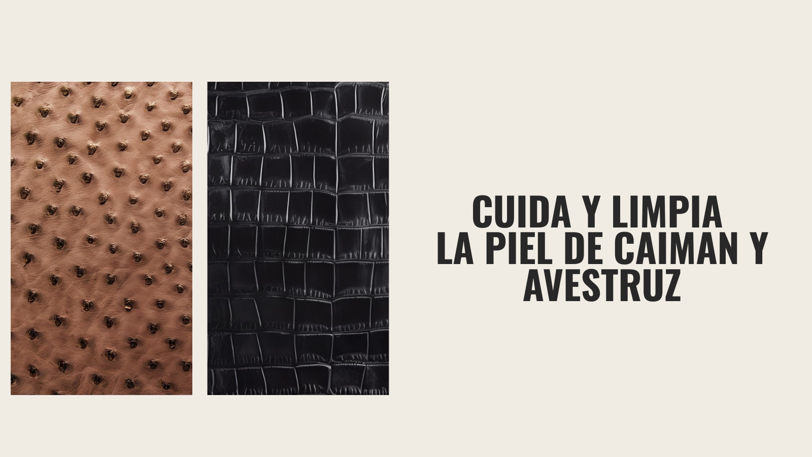 Cuidados para piel genuina exótica: Caimán y Avestruz