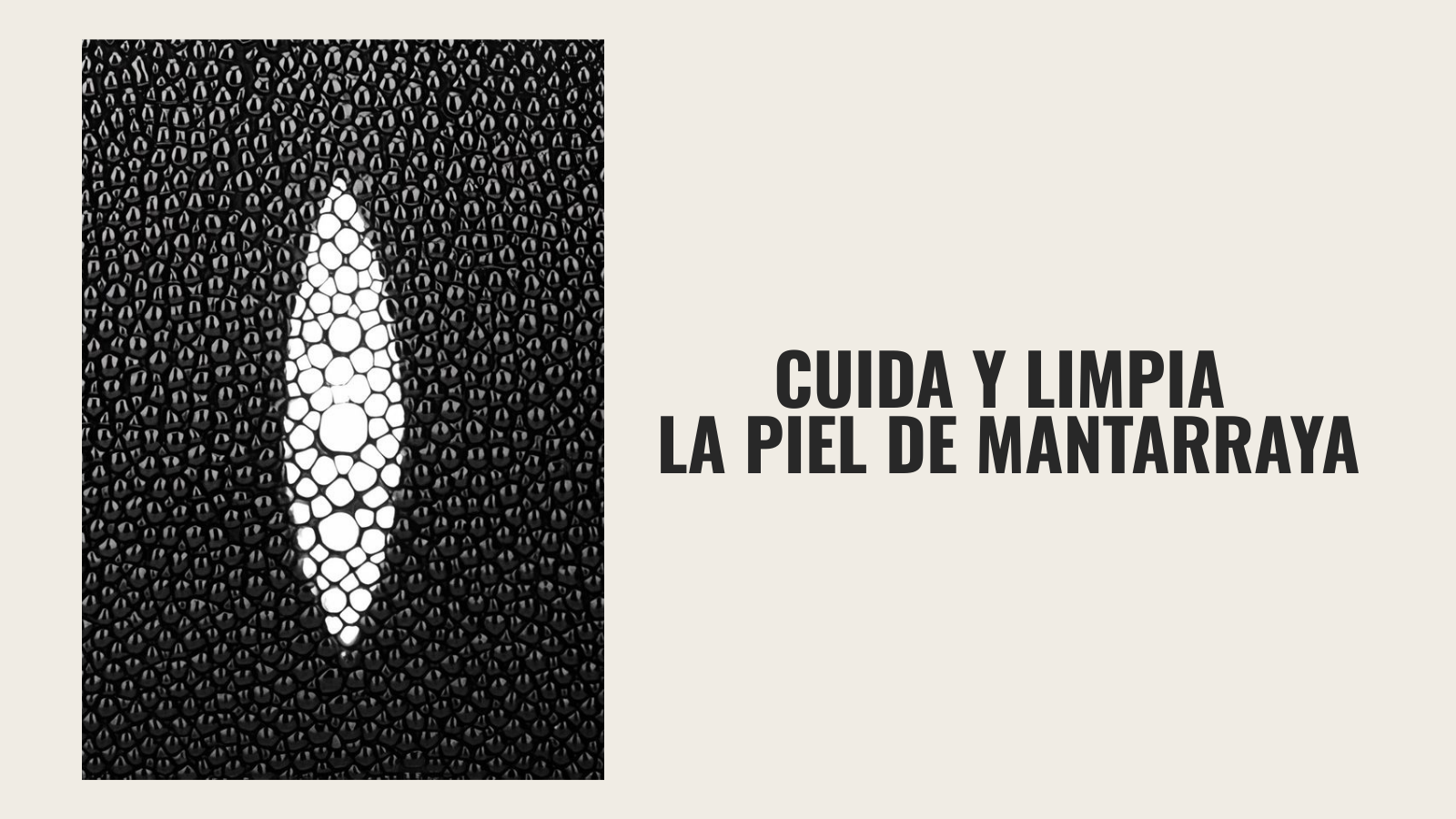 Así se limpia tu piel de mantarraya ✨