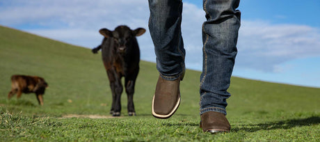 Botas Rodeo Para Hombre