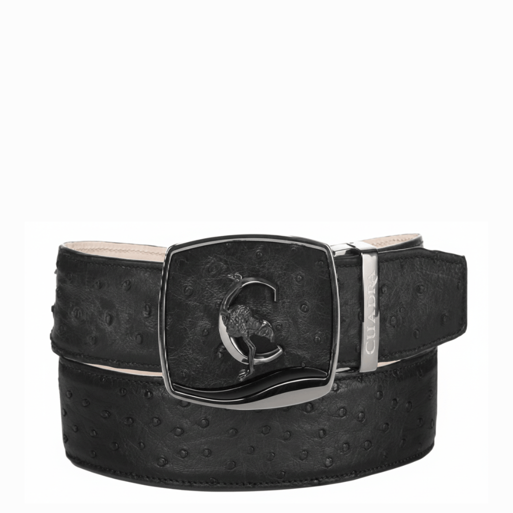 Cinturón negro de avestruz con hebilla metálica y logotipo Cuadra.