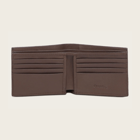 Muestra los espacios para tarjetas y billetes bien organizados.