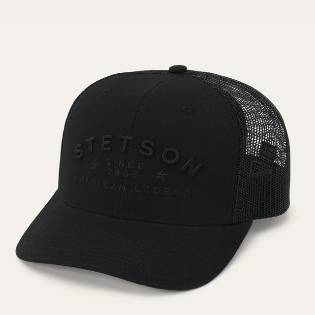 Gorra negra con bordado frontal discreto y malla trasera.