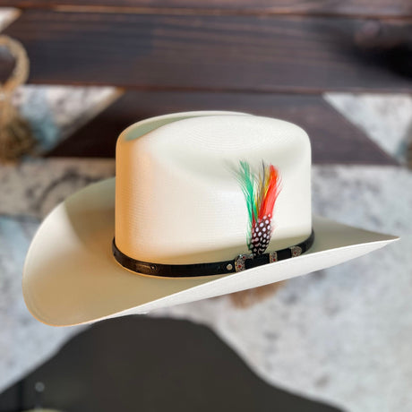 Sombrero Tombstone Chaparral El Aventurero 5000X