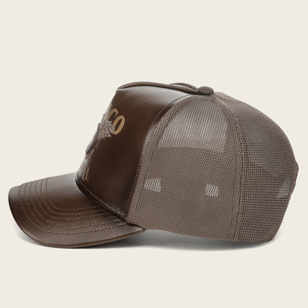 Vista lateral con malla trasera y visera curva.