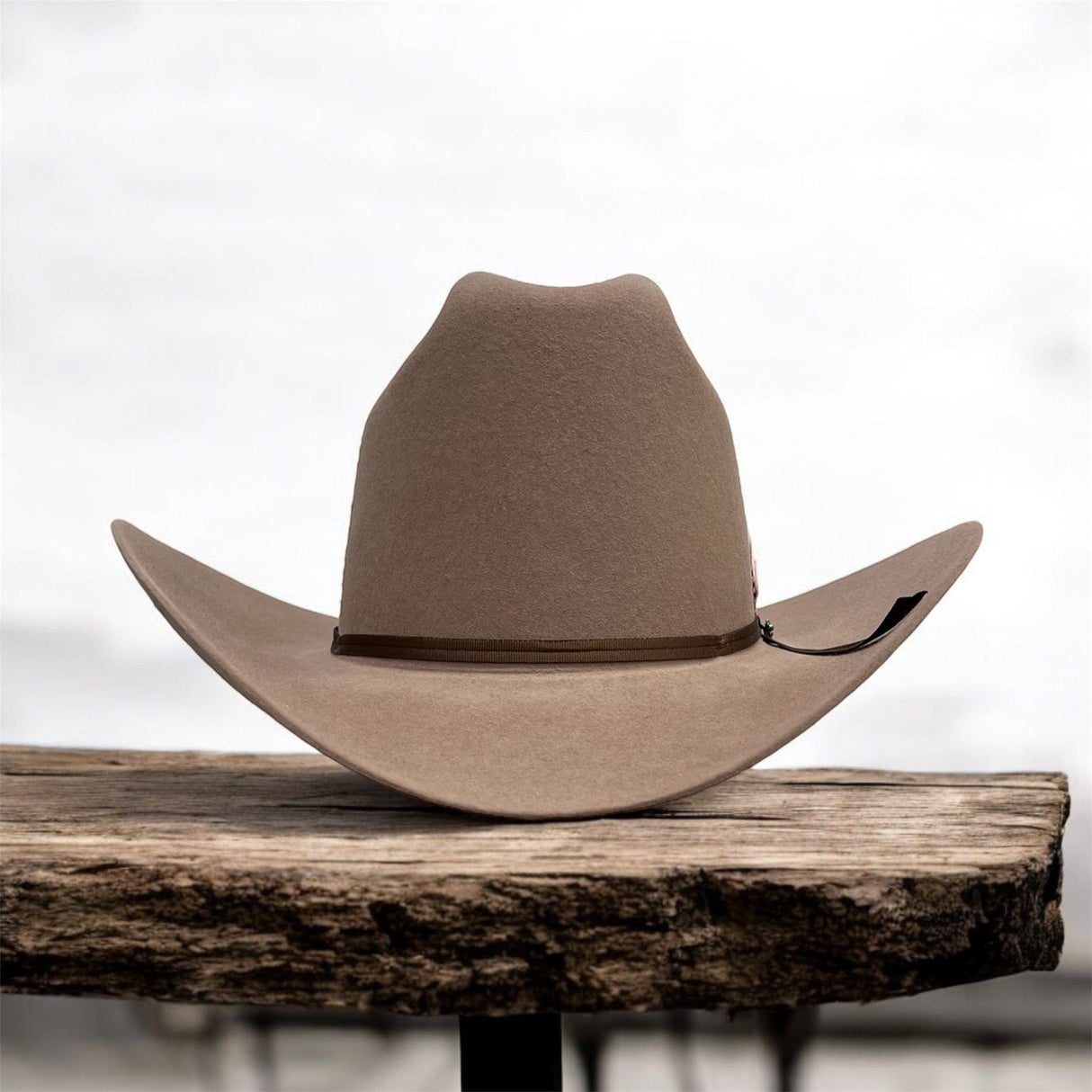 Texana Stetson 6x Rancher Sahara