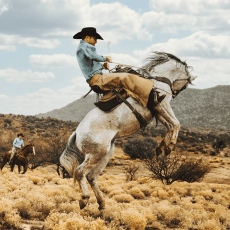 Texana Stetson 6x Skyline Negra