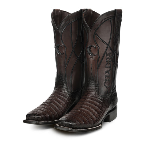 Bota vaquera Cuadra Insignia Caimán Chocolate – par