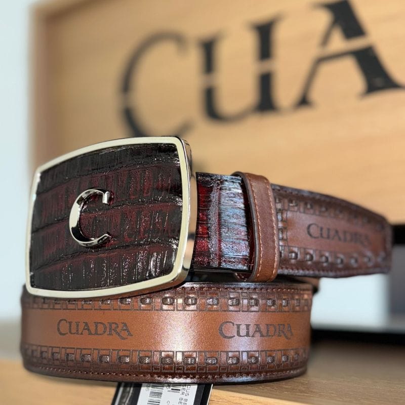 Cinto Cuadra Dinastia Bravia