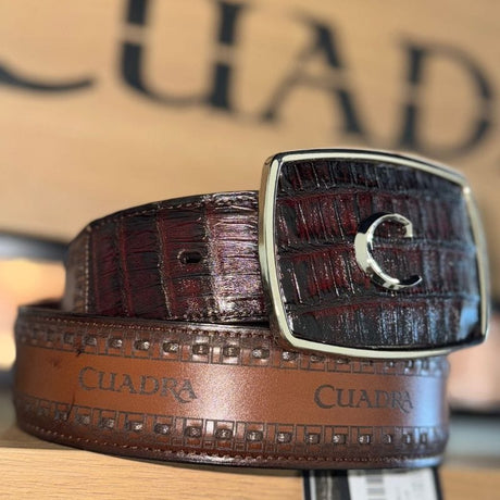 Cinto Cuadra Dinastia Bravia