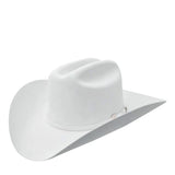 Texana Stetson 10X Shasta White