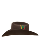 Texana Stetson 6x 160 Aniversario Chocolate con Pluma