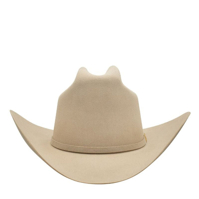 Stetson The Golden Eagle 100X 160th Anniversary Felt Hat – Silverbelly