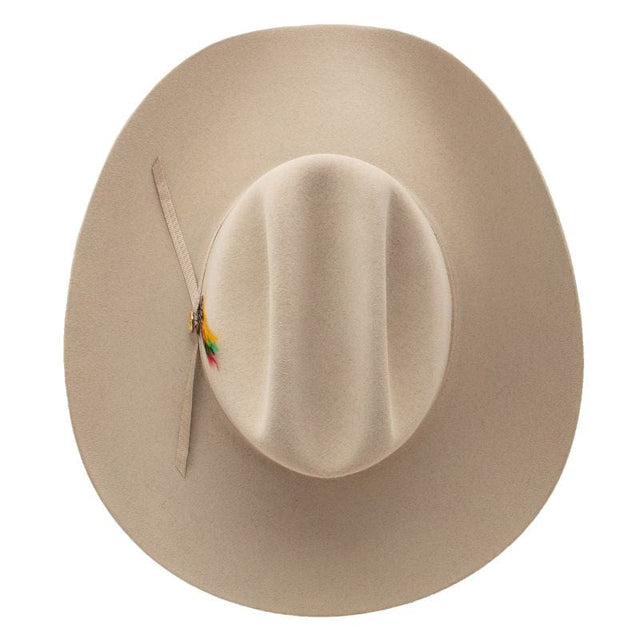 Stetson 6X 160th Anniversary Felt Hat with Feather – Silverbelly
