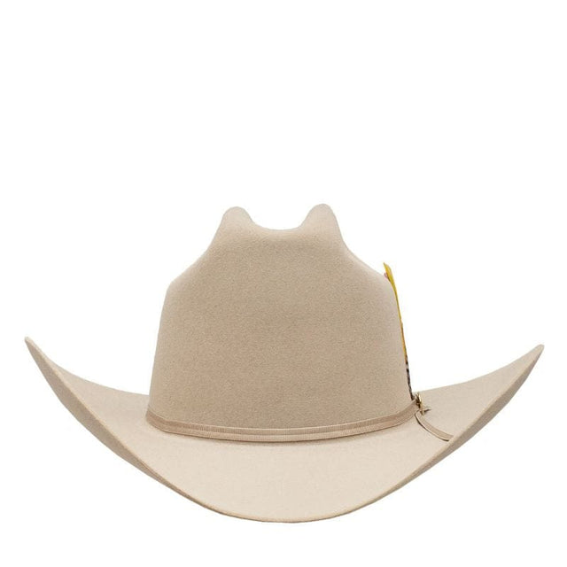 Stetson 6X 160th Anniversary Felt Hat with Feather – Silverbelly