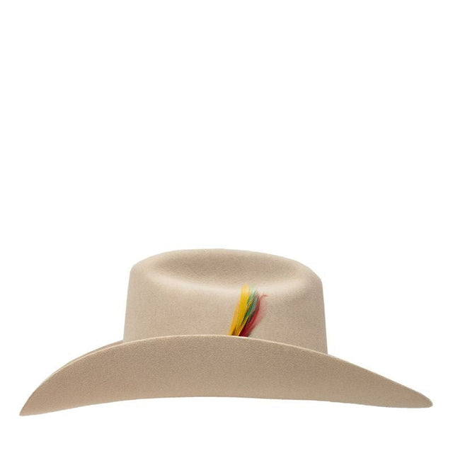 Stetson 6X 160th Anniversary Felt Hat with Feather – Silverbelly