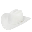 Texana Stetson Blanca para hombre