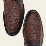 bota miel avestruz puntera