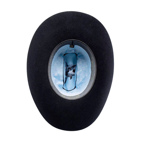 texana shark interior