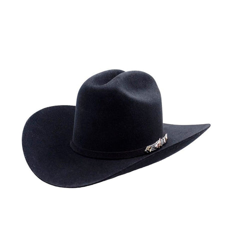 texana shark posterior