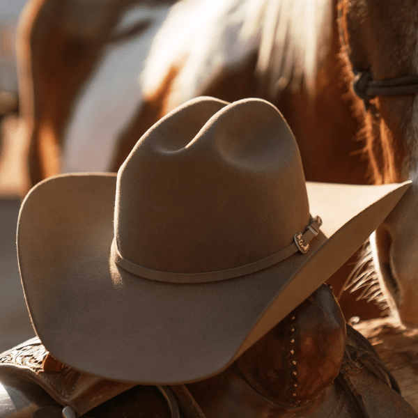 Stetson Skyline 6X Felt Hat – Sahara