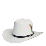 Sombrero Vaquero Johnson 500x Atejanada