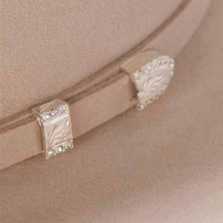 Texana Stetson 10x Shasta Silverbelly