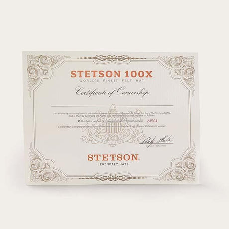 certificado stetson