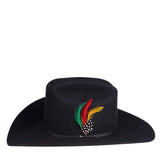 Texana Stetson Negra 6X Rancher Ala 4"