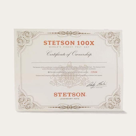 certificado stetson